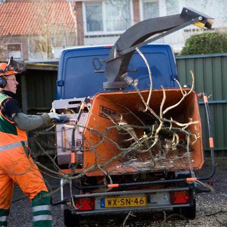 Hovenier, Tuinstylist, Tuinontwerp, Tuinaanleg