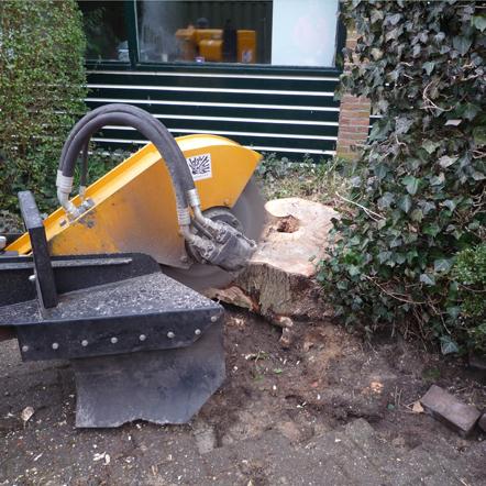 Hovenier, Tuinstylist, Tuinontwerp, Tuinaanleg