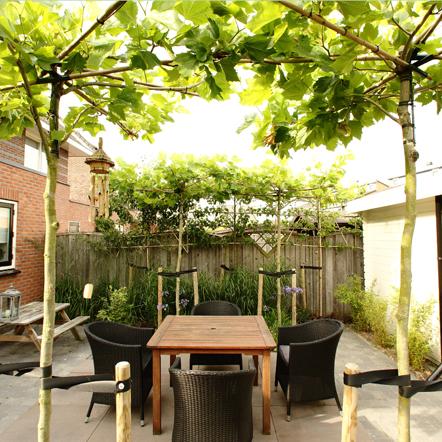 Hovenier, Tuinstylist, Tuinontwerp, Tuinaanleg