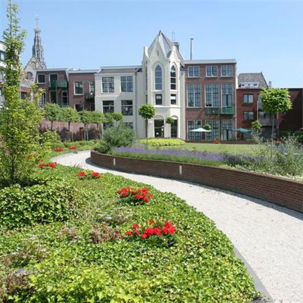 Hovenier, Tuinstylist, Tuinontwerp, Tuinaanleg
